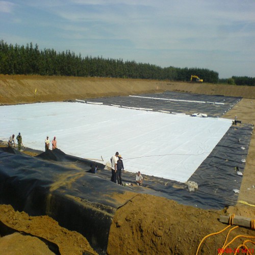 娄底冷水江1.0mm土工膜 磷石膏渣场覆盖用HDPE土工膜
