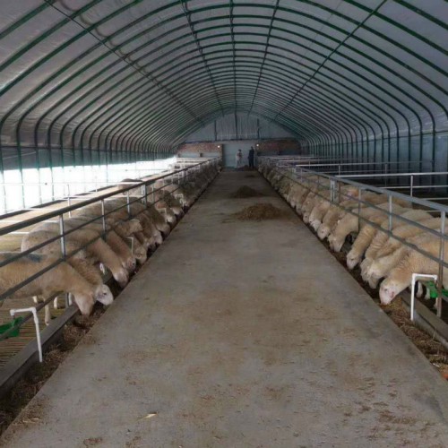 新型养猪大棚建设 养殖温室大棚造价预算 养殖大棚搭建