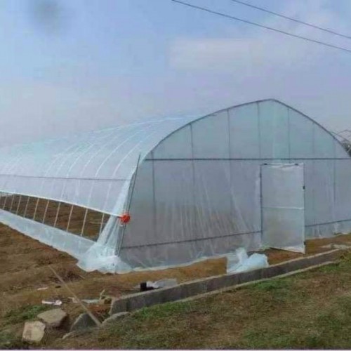 9米宽钢架大棚 搭建温室大棚公司 农业简易钢架大棚造价