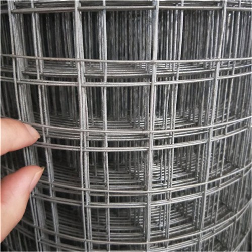 钢结构用镀锌电焊网 建筑铁丝网