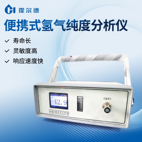 便携式氢气纯度分析仪 氢气含量分析检测仪 氢气浓度测定仪