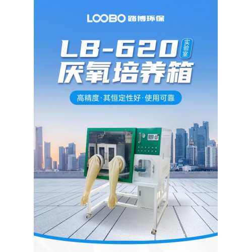 厌氧培养箱 LB-620